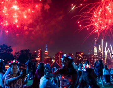 People smile as fireworks go off overhead.