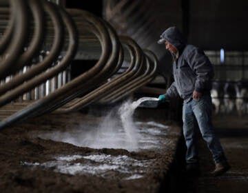 A person sprays something from a hose while preparing fresh bedding.