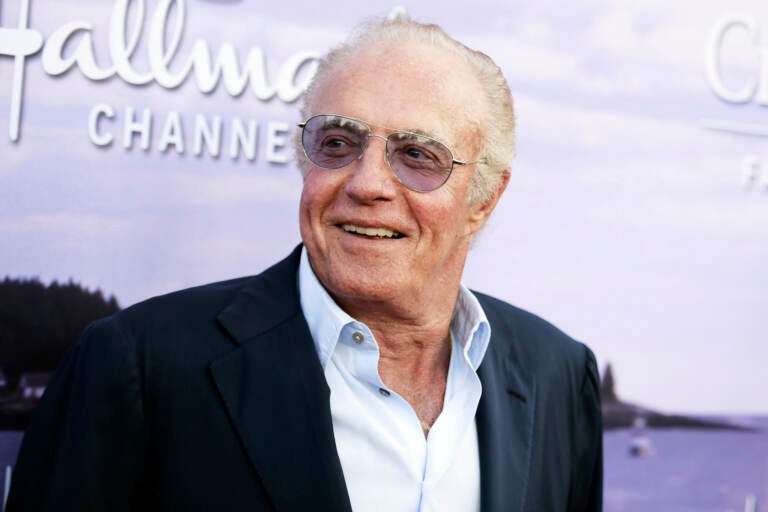 FILE - James Caan attends the 2016 Summer TCA 'Hallmark Event' on July 27, 2016, in Beverly Hills, Calif. Caan, whose roles included 'The Godfather,' 'Brian’s Song' and 'Misery,' died Wednesday, July 6, 2022, at age 82. (Photo by Richard Shotwell/Invision/AP, File)