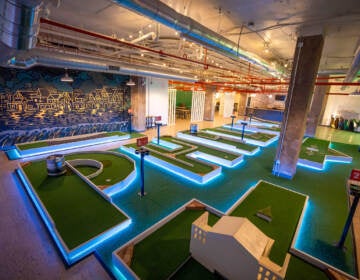 An indoor mini golf course is visible.