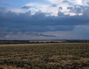 Grain fields backdropped by a power plant in Donetsk region, eastern Ukraine, Friday, July 22, 2022.