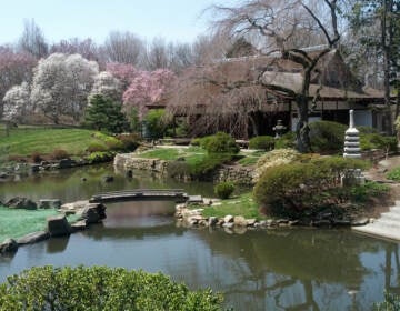 Shofuso House in Fairmount Park. (Courtesy of Shofuso)