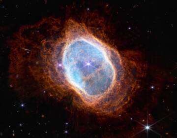 The bright star at the center of NGC 3132, Southern Nebula Ring