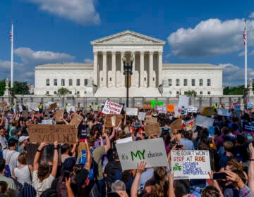 People hold signs and demonstrate in front of the U.S. Supreme Court building in Washington, D.C.