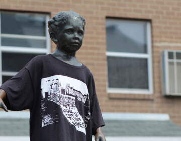 A statue is shown wearing a T-shirt.