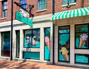 A green-and-white sign and awning, and pictures of ice cream cones, adorn the outside of a new ice cream shop.