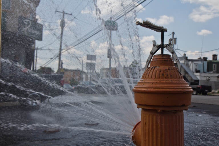 Residents of Reese Street in the Hunting Park Section of Philadelphia opened a fire hydrant during an intense heat wave on July 20, 2022. (Kimberly Paynter/WHYY)