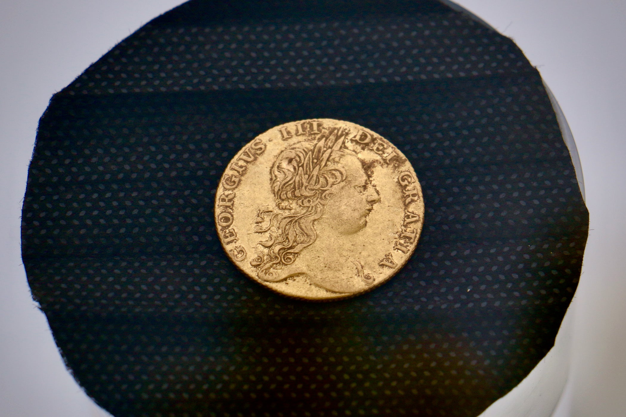 Gold penny lab questions online