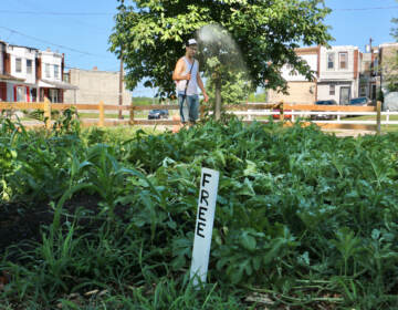 Farm manager Benjamin Miller waters the garden at 61st and Reinhard streets in Southwest Philadelphia. (Emma Lee/WHYY)