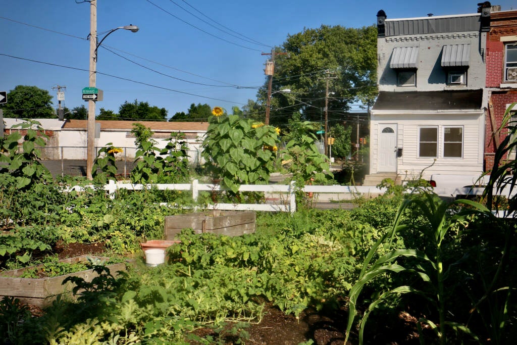 A People's Kitchen garden at 62nd and Reinhart streets grows a variety of fruits and vegetables that are free to neighborhood residents.