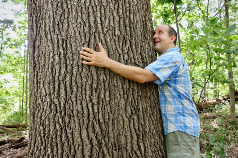 Bernard ''Billy'' Brown hugs a tree in Haddington Woods near Cobbs Creek. Brown is the author of a new guide book, ''Exploring Philly Nature.'' (Emma Lee/WHYY)