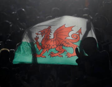 A welsh flag is held aloft. (AP Photo/Christophe Ena)