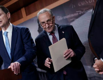 Senate Majority Leader Chuck Schumer, D-N.Y., joined at left by Senate Finance Committee Chair Ron Wyden, D-Ore., speaks to reporters after a closed-door policy meeting, at the Capitol in Washington, Tuesday, Aug. 2, 2022. (AP Photo/J. Scott Applewhite)