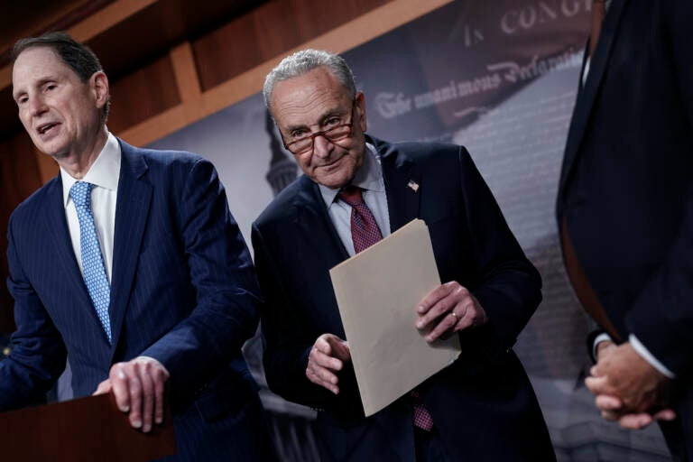 Senate Majority Leader Chuck Schumer, D-N.Y., joined at left by Senate Finance Committee Chair Ron Wyden, D-Ore., speaks to reporters after a closed-door policy meeting, at the Capitol in Washington, Tuesday, Aug. 2, 2022. (AP Photo/J. Scott Applewhite)