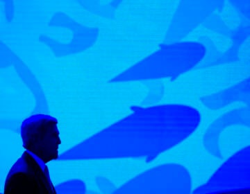 File photo: Secretary of State John Kerry stands onstage against a video backdrop of ocean life during the Our Ocean, One Future conference at the State Department in Washington, Thursday, Sept. 15, 2016. (AP Photo/Cliff Owen, File)