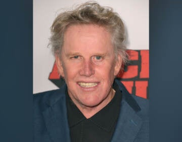 File photo Gary Busey arrives at the premiere of ''Machete Kills'' at Regal Cinemas L.A. Live on Wednesday, Oct. 2, 2013 in Los Angeles. (Photo by Jordan Strauss/Invision/AP)