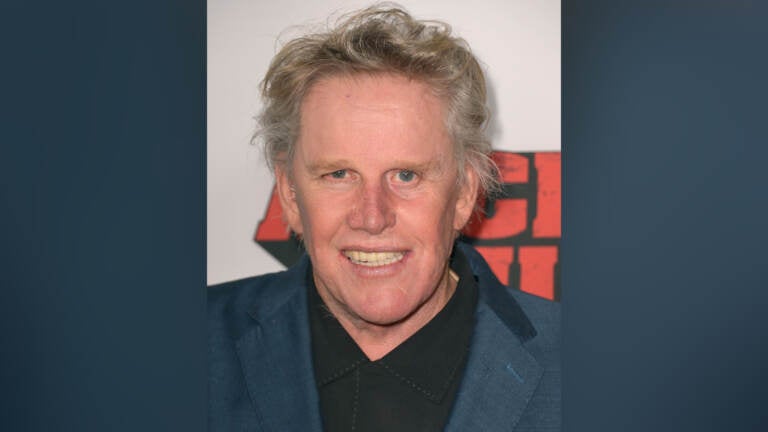 File photo Gary Busey arrives at the premiere of ''Machete Kills'' at Regal Cinemas L.A. Live on Wednesday, Oct. 2, 2013 in Los Angeles. (Photo by Jordan Strauss/Invision/AP)