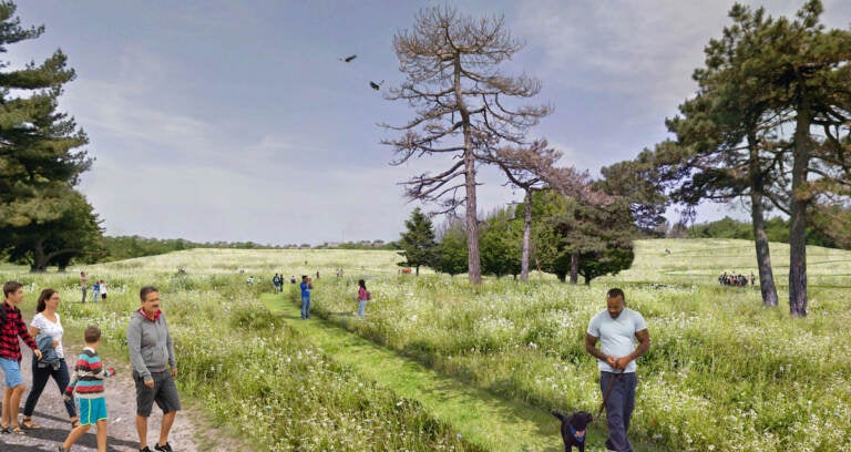 Renderings of the planned wetlands at FDR Park. (City of Philadelphia)