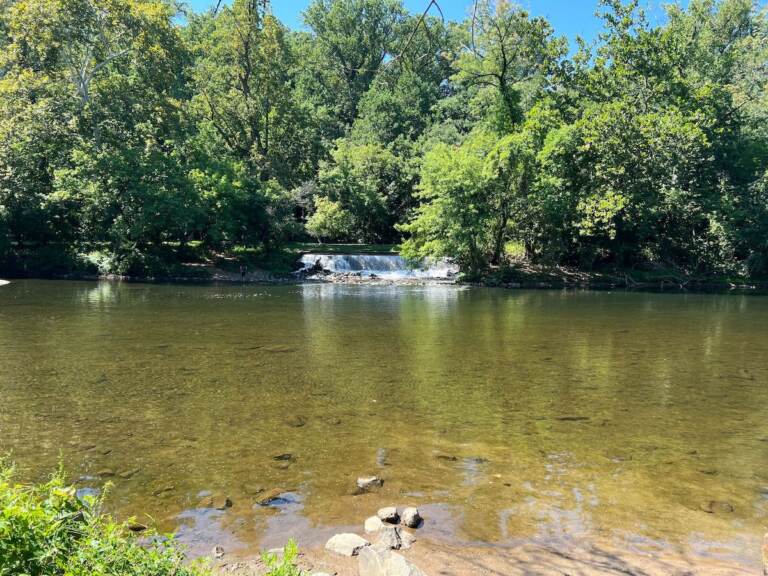 Brandywine River