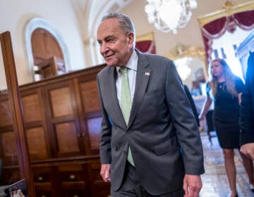 Senate Majority Leader Chuck Schumer (D-N.Y.) said Thursday that the Senate would vote to move forward on the Inflation Reduction Act, the Democrats' package that tackles climate change, prescription drugs and inflation, this weekend. (J. Scott Applewhite/AP)