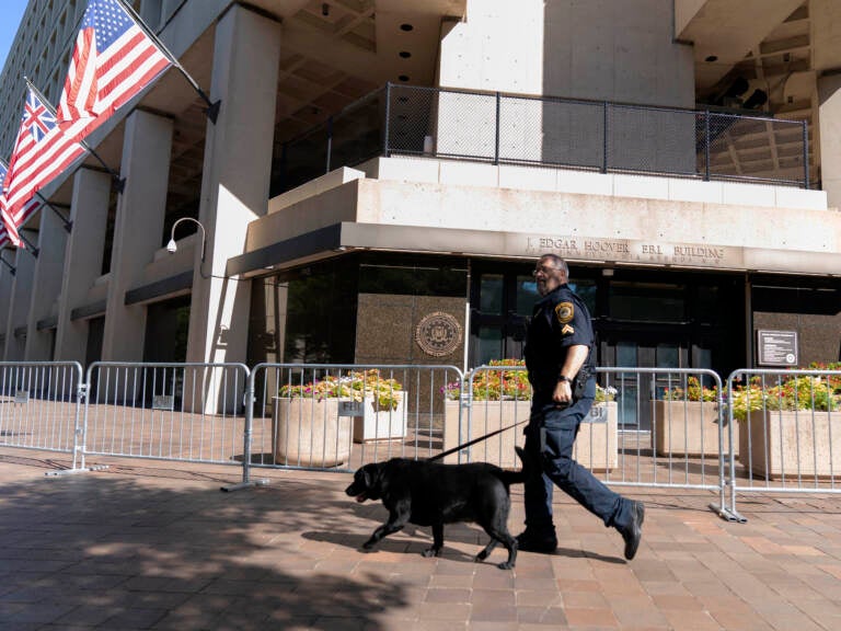A Federal Bureau of Investigation police officer walks with his working dog outside Federal Bureau of Investigation building headquarters in Washington, Saturday, Aug. 13, 2022. A Federal Bureau of Investigation police officer walks with his working dog outside Federal Bureau of Investigation building headquarters in Washington, Saturday, Aug. 13, 2022. (Jose Luis Magana/AP)