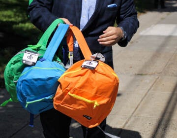 A person holds up three colorful backpacks.