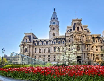 Tulips are pictured outside Philadelphia City Hall.