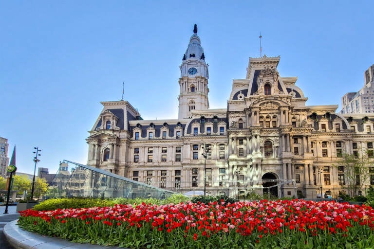 Tulips are pictured outside Philadelphia City Hall.