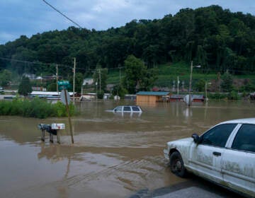 Vehicles are seen in floodwaters downtown in Jackson, Kentucky