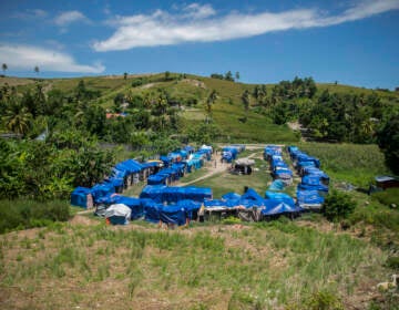 Blue tarps covering makeshift homes are visible in the distance in a green field.