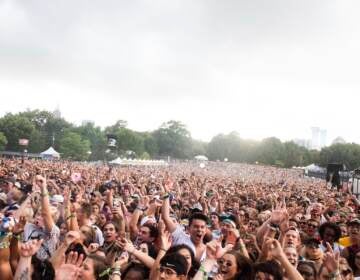 Crowd at Music Midtown in Piedmont Park