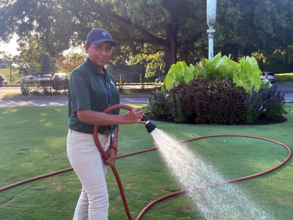 Wilmington Country Club groundskeeper Areli Diaz hoses down the turf in front of the clubhouse