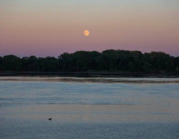 File photo: The sun sets over the Delaware River. (Kimberly Paynter/WHYY)