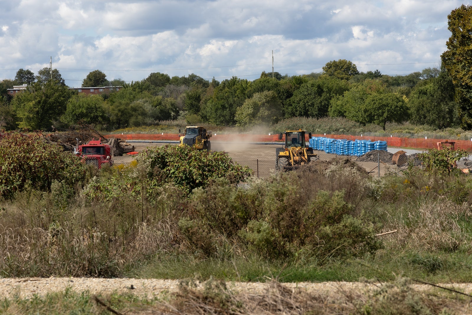‘MeadowFest’ celebrates the FDR park meadows WHYY