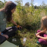Rebecca Deegan, and Carys Morken, 7, look for insects in FDR Park’s Meadowlands during the first day of Meadowfest on September 26, 2022. (Kimberly Paynter/WHYY)