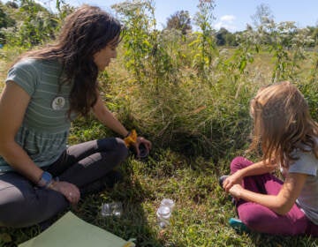 Rebecca Deegan, and Carys Morken, 7, look for insects in FDR Park’s Meadowlands during the first day of Meadowfest on September 26, 2022. (Kimberly Paynter/WHYY)