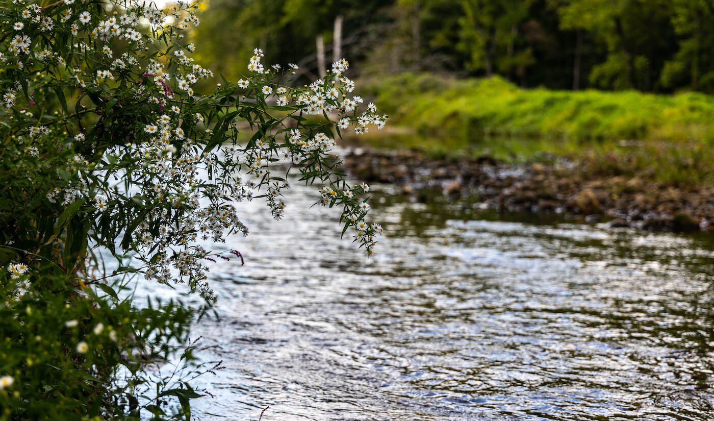 3 miles of the Big Elk Creek, which feeds into the Chesapeake Bay at the Elk River, is part of the newly designate Big Elk Creek State Park in Chester County, Pa. (Kimberly Paynter/WHYY)