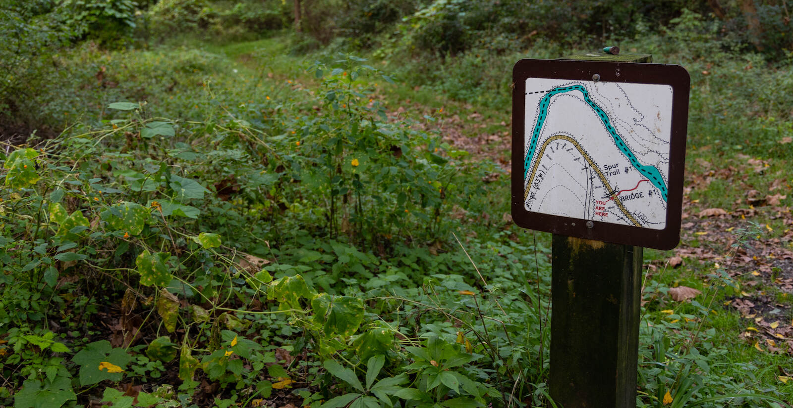 There are already two established trails in Big Elk Creek State Park, 1,700-acres, now designated as a Pennsylvania State Park. Illustrated signs along the Spring Lawn Trail make it easy to stay on course. (Kimberly Paynter/WHYY)