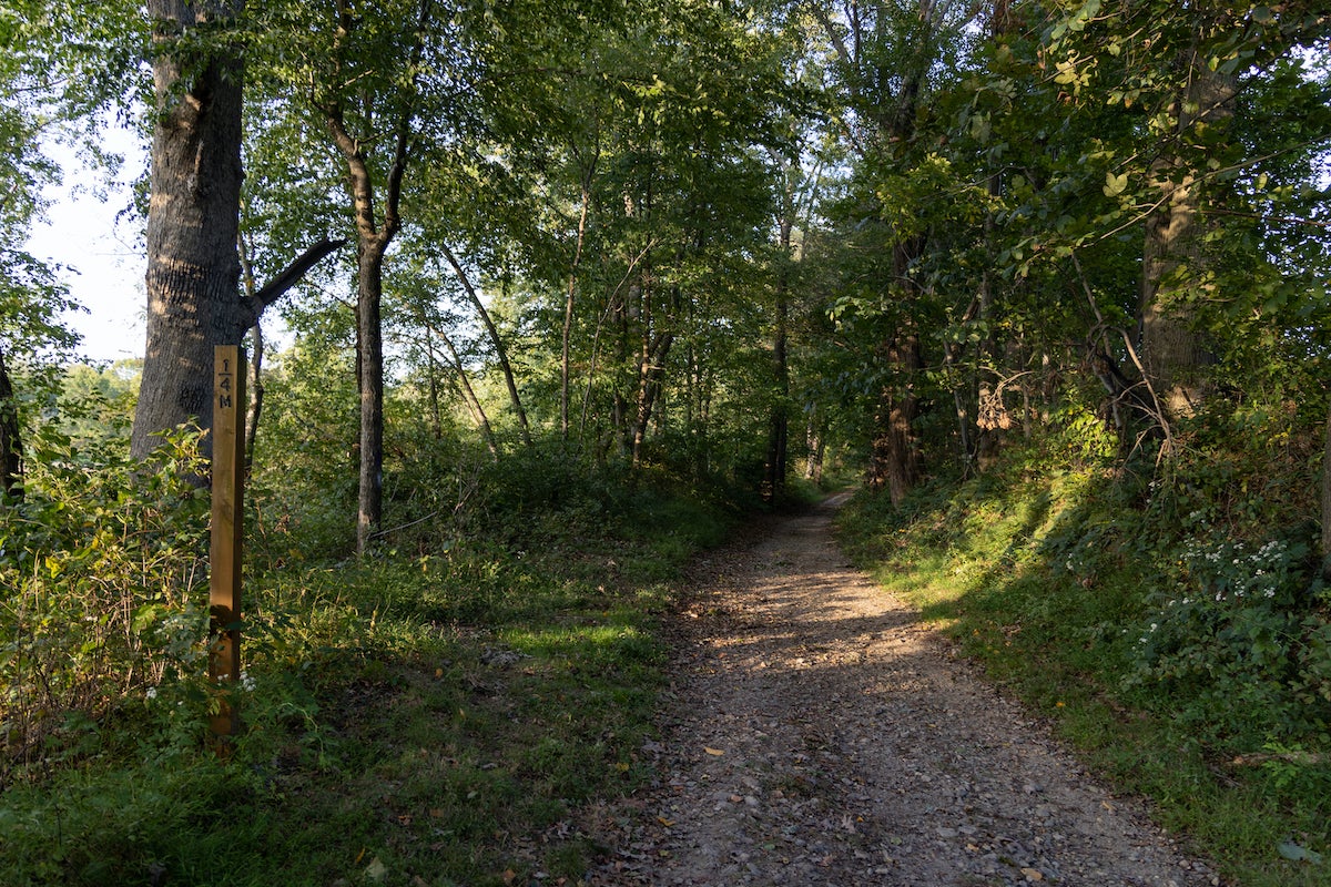 The Spring Lawn Trail through the newly designated Big Elk Creek State Park runs above and along the creek for about 2.5 miles. (Kimberly Paynter/WHYY)