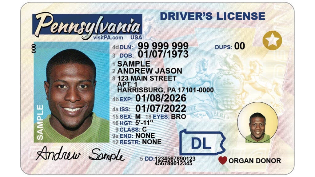 No more DMV! Pa. driver's license renewals to be done online - WHYY