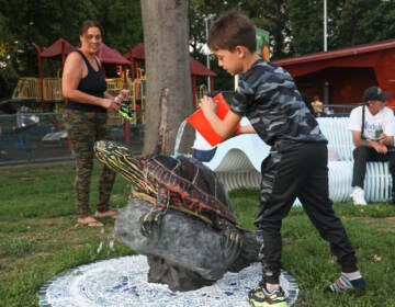 Richard Feliciano Velez, 7, tests the water feature of the River Alive! Learning Trail turtle sculpture after the unveiling event at Tookany Creek Park on Sept. 14, 2022. (Kimberly Paynter/WHYY)