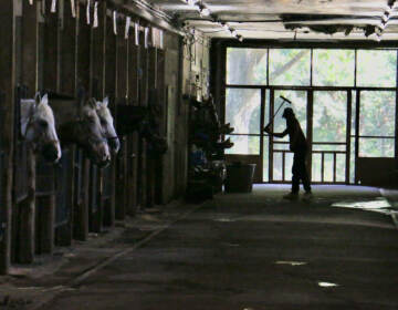 Work to Ride program alumnus Esteban Penados practices his swing at Chamounix Stables, in West Fairmount Park, home of the Work to Ride program. (Emma Lee/WHYY)