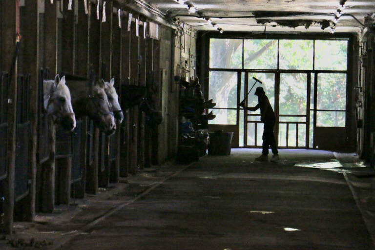 Work to Ride program alumnus Esteban Penados practices his swing at Chamounix Stables, in West Fairmount Park, home of the Work to Ride program. (Emma Lee/WHYY)