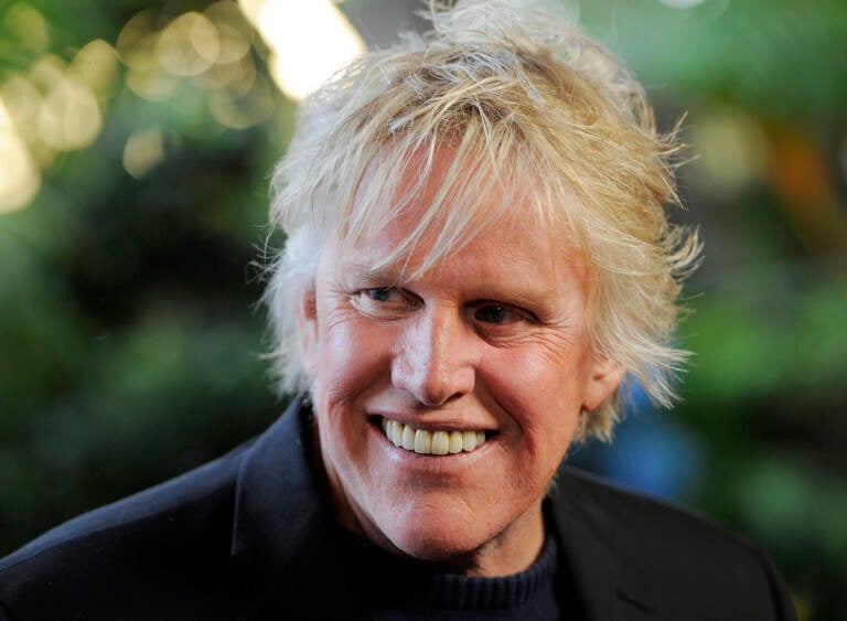 File photo: Gary Busey appears at the Entertainment Studios' Daytime Emmy and series launch party for ''Mr. Box Office'' in Los Angeles on June 19, 2012. (Photo by Chris Pizzello/Invision/AP, File)