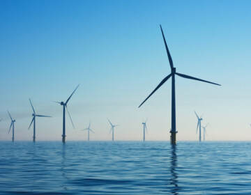 Offshore wind turbines are visible stretching into the distance with blue sky in the background.