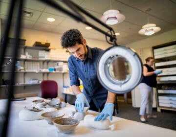 Researcher Simcha Gross lays out incantation bowls in the research room at the Penn Museum, nestling the objects atop long bags filled with silica gel for support. In the background, museum object keeper Katherine Blanchard pulls an item from the storage cabinet. (Eric Sucar/Penn Museum)