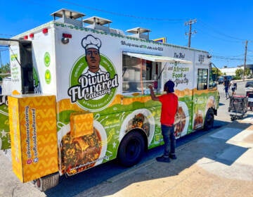 A person in a red shirt orders from a brightly colored green and white food truck.