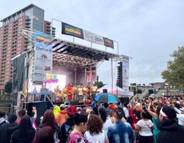 The stage of the Festival Hispano, with bachata singer Luis Vargas on stage in Wilmington, Delaware. (Johnny Perez-Gonzalez/WHYY)