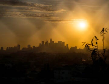 A heat wave is smothering much of the Western region including Los Angeles. Worrisome weather trends like this can contribute to climate stress. (Eric Thayer/Bloomberg via Getty Images)