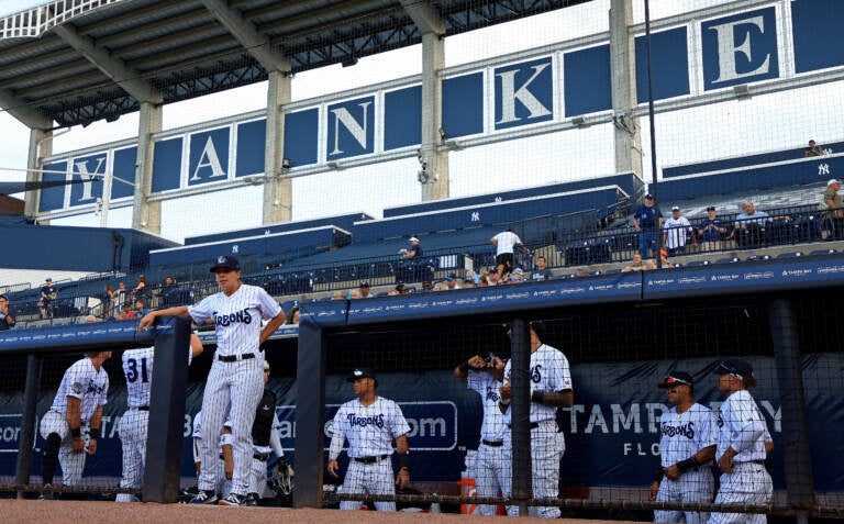 A minor league baseball game between the Tampa Tarpons and Dunedin Blue Jays in April. A 